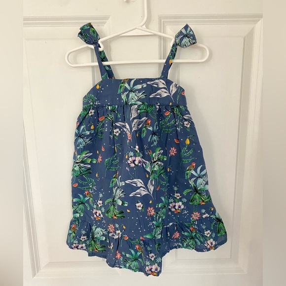GAP Other - Gap Floral Navy Dress - Size 18-24 months